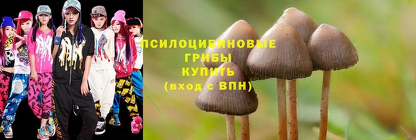 стаф Бронницы