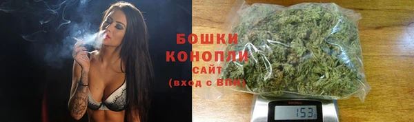 стаф Бронницы