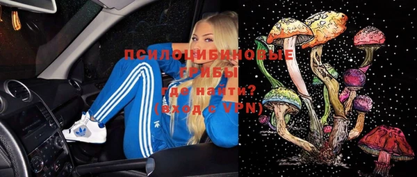 стаф Бронницы