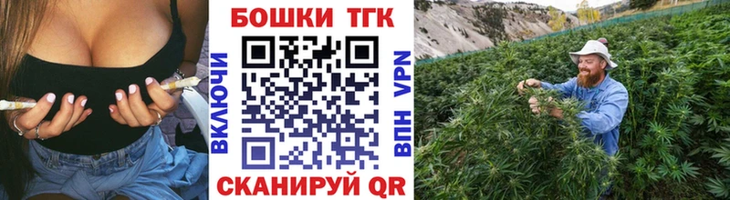 Марихуана THC 21%  купить наркотики цена  mega сайт  Котовск 